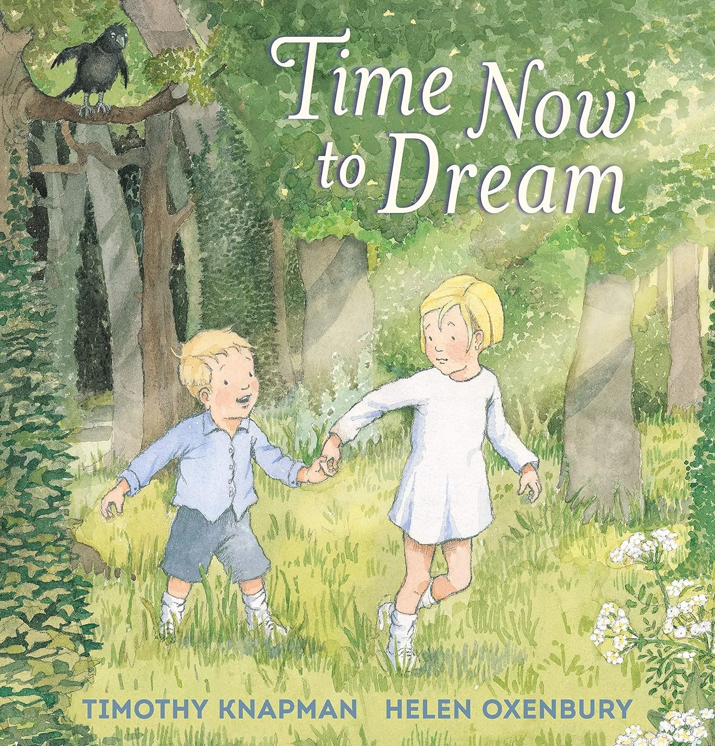 Book Cover: Time to Dream